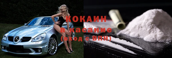 сатива Горно-Алтайск