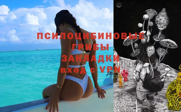 крисы Вяземский