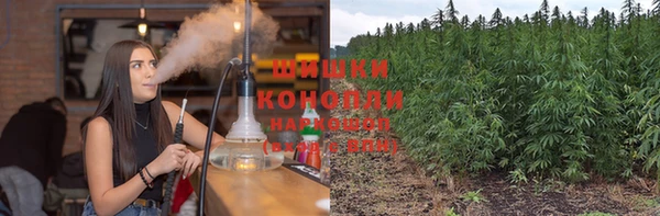 крисы Вяземский